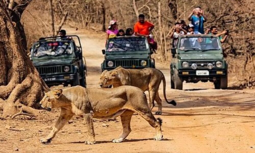 Gujarat Tourism