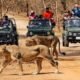 Gujarat Tourism